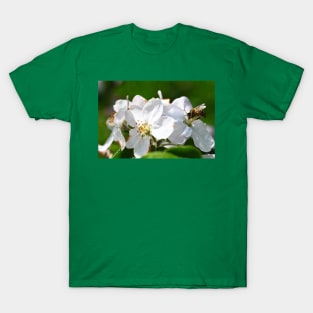 Honey bee on Flowers T-Shirt